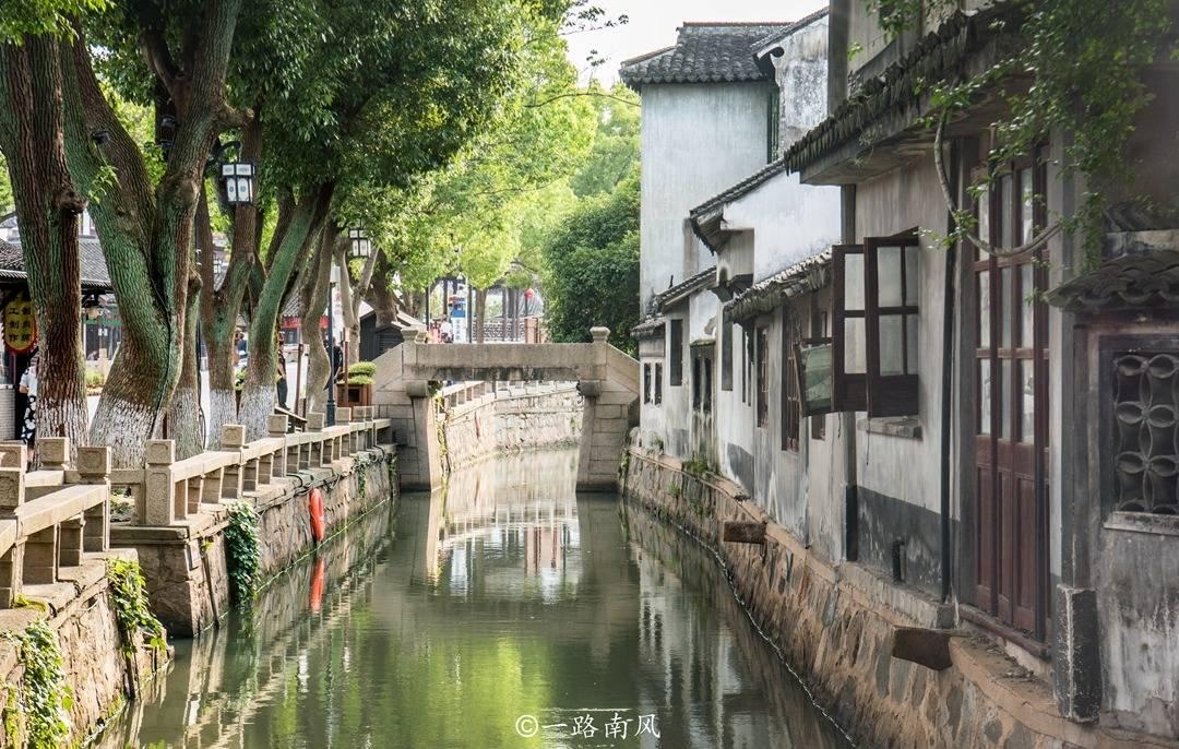 萌犬找不同